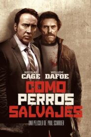 Como perros salvajes